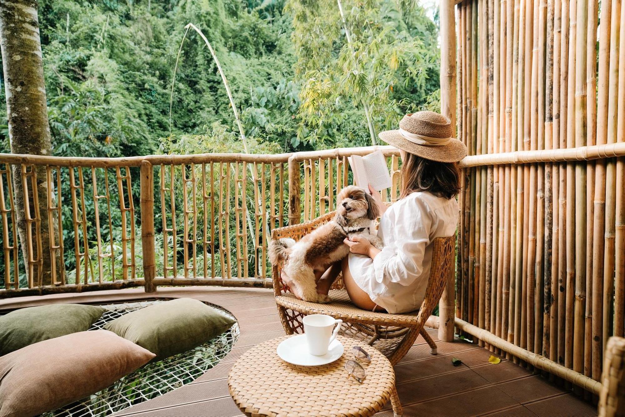 Treehouse De Valentine Villa Balamban Eksteriør billede